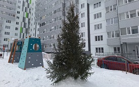 Приглашаем принять участие в украшении елочки по адресу ул. Гашкова, 58!