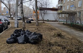 Уборка придомовых территорий