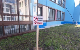 Выгул домашних животных