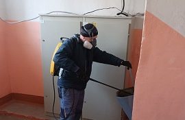 Работы по дезинсекции в доме по адресу пр. Парковый, 42 Работы по дезинсекции в доме по адресу пр. Парковый, 42