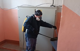 Работы по дезинсекции в доме по адресу пр. Парковый, 42