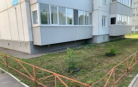 Покос травы на придомовых территориях