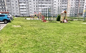 Покос травы на придомовых территориях