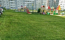 Покос травы на придомовой территории по адресу ул. Целинная, 45