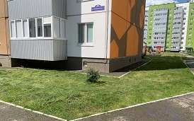 Покос травы на придомовых территориях