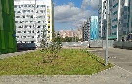 Покос травы на придомовой территории по адресу ул. Гашкова, 56/1