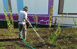 Благоустройство придомовой территории по адресу ул. Борцов Революции, 1А