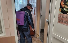 Дезинсекция в местах общего пользования