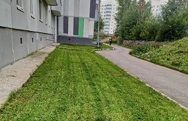 Покос травы на придомовой территории по адресу ул. Целинная, 49Б
