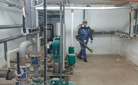 Дератизация и дезинсекция в домах