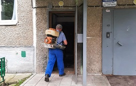 Дезинсекция мест общего пользования