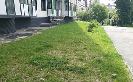 Покос придомовых территорий