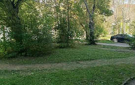 Покос травы на придомовых территориях