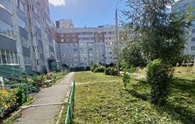 Покос травы на придомовых территориях