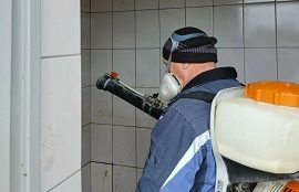 Дератизация и дезинфекция мест общего пользования Дератизация и дезинфекция мест общего пользования